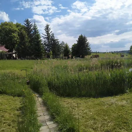 #mazurywildlife Giżycko