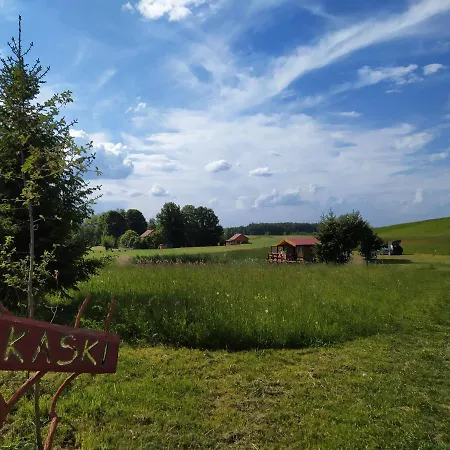 #mazurywildlife * Giżycko